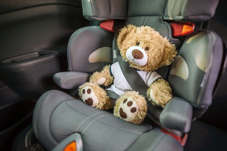 Teddybär_Kindersitz