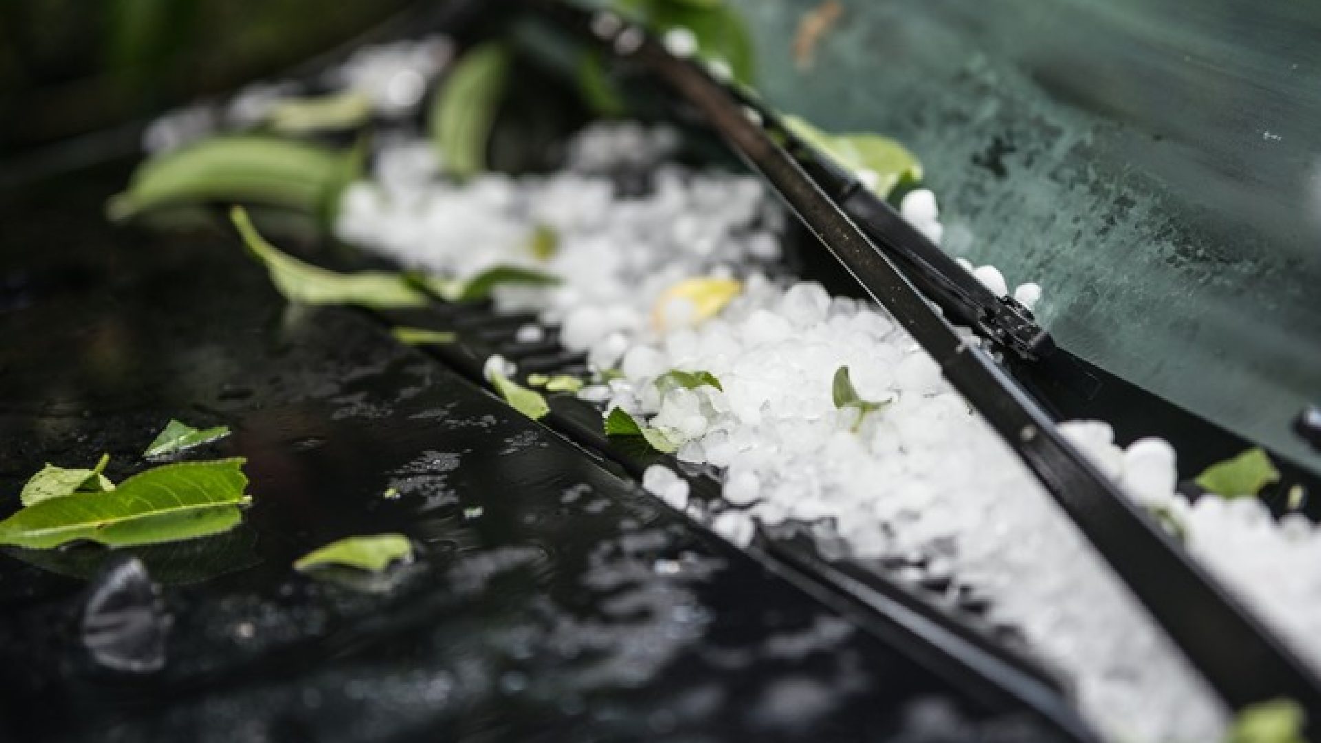 motorhaube_mit_hagelkörnern